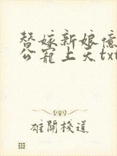 替嫁新娘亿万老公宠上天txt全文下载