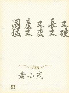 国产又长又粗又猛又爽又硬