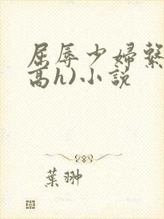 屈辱少妇系列(高h)小说