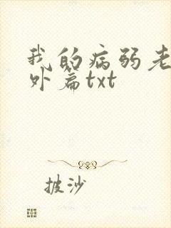 我的病弱老婆番外篇txt