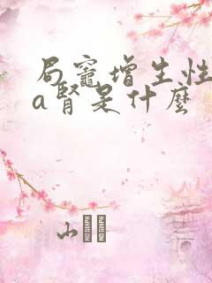 局灶增生性iga肾是什么