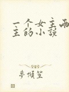 一个女主两个男主的小说