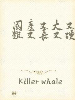 国产又大又猛又粗又长又硬又刺激