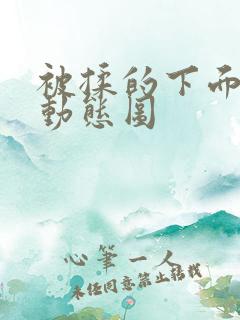 被揉的下面出水动态图