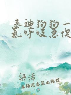 泰迪狗狗一直喘气呼吸急促