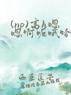 (np)高h嗯嗯啊呃哦哈