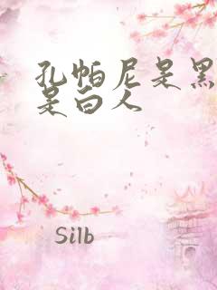 孔帕尼是黑人还是白人