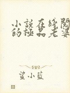 小说在线阅读我的极品老婆