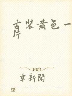 古装黄色一级大片