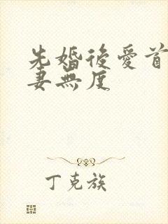 先婚后爱首长宠妻无度