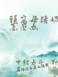 头窝母猪奶水少怎么办