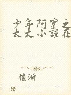 少年阿宾之房东太大小说在线阅读