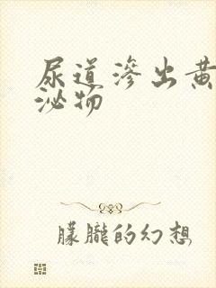 尿道渗出黄色分泌物