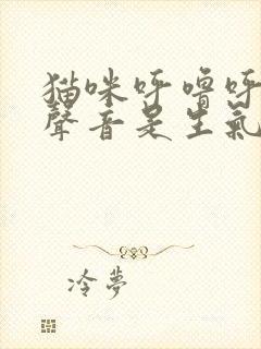 猫咪呼噜呼噜的声音是生气还是高兴