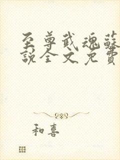 至尊武魂苏莫小说全文免费阅读