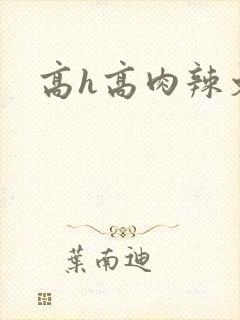高h高肉辣文