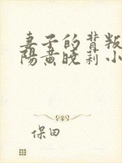 妻子的背叛林子阳黄晓莉小说全集完整版