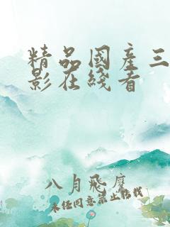 精品国产三级电影在线看