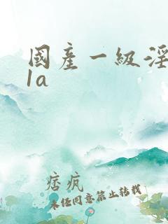 国产一级淫片91a