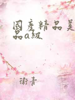国产精品美女极品a级
