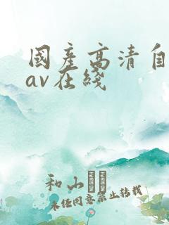 国产高清自产拍av在线