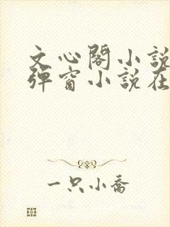 文心阁小说_无弹窗小说在线免费阅读