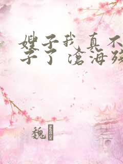 嫂子我真不是傻子了 沧海残阳.