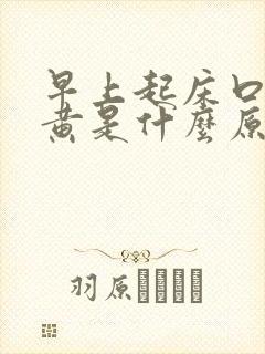 早上起床口苦尿黄是什么原因