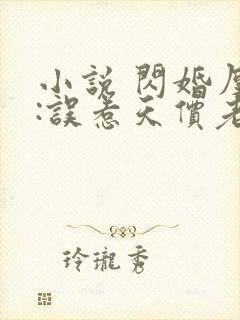 小说 闪婚厚爱:误惹天价老公