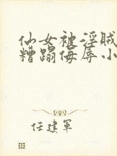 仙女被淫贼强行糟蹋侮辱小说