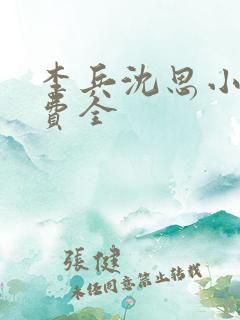 李兵沈思小说免费全