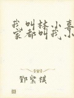 我叫林小喜 大家都叫我小喜小说