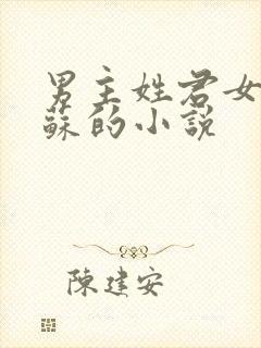 男主姓君女主姓苏的小说