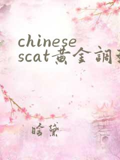 chinesescat黄金调教vk