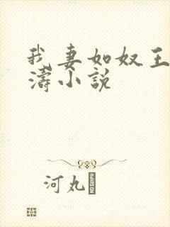 我妻如奴王琳陈涛小说