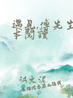 遇见,傅先生全本阅读