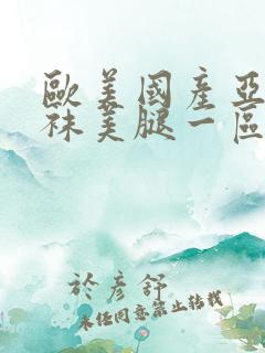 欧美国产亚洲丝袜美腿一区