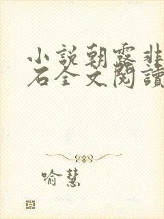 小说朝露非木非石全文阅读