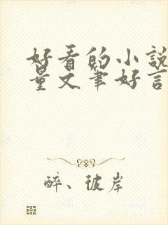 好看的小说高质量文笔好言情