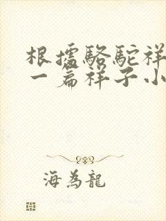 根据骆驼祥子写一篇祥子小传