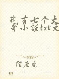 我有七个大佬哥哥小说txt文本下载