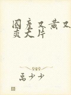 国产又黄又色又爽大片