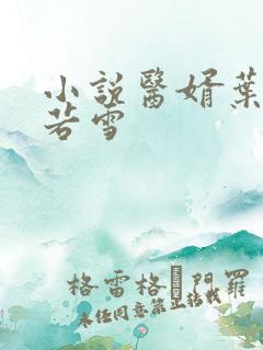 小说医婿叶凡唐若雪