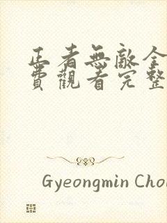 正者无敌全集免费观看完整版