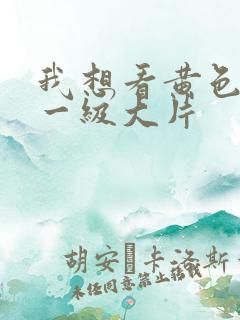 我想看黄色录像一级大片