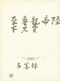 至尊龙帝陆鸣全本免费