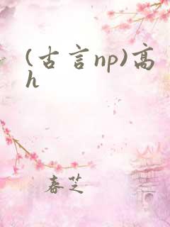 (古言np)高h