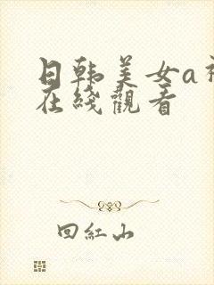 日韩美女a视频在线观看