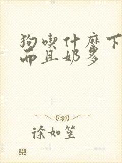 狗吃什么下奶快而且奶多