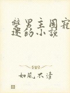 双男主团宠万人迷的小说